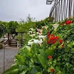 Casa Jacinta Con Jacuzzi Tatil Evi *