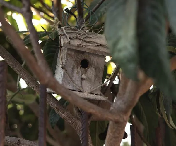 Σπίτι διακοπών Casa Jacinta Con Jacuzzi *