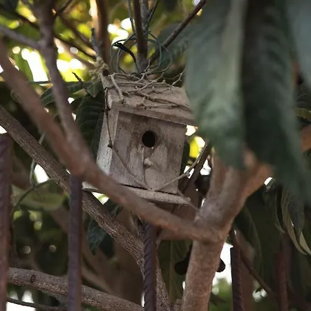 Сasa de vacaciones Casa Jacinta Con Jacuzzi *