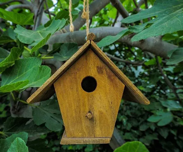 Casa Jacinta Con Jacuzzi * אדחה